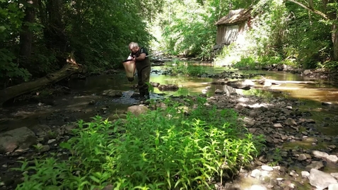 Thumbnail for Brendan McKie – professor i sötvattensekologi / professor of freshwater ecology