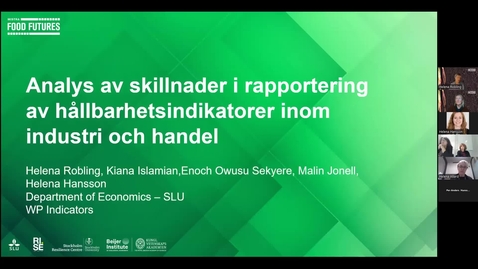 Thumbnail for Analys av skillnader i rapportering  av hållbarhetsindikatorer inom  industri och handel