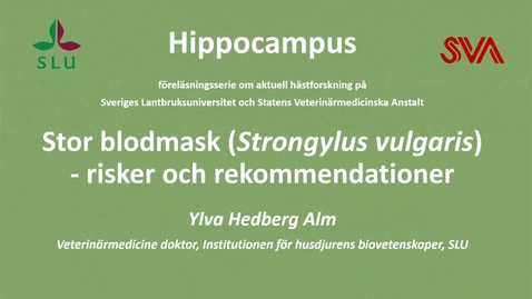 Thumbnail for 2024:Stor blodmask - risker och rekommendationer, Ylva Hedberg Alm