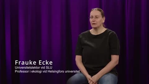 Thumbnail for Frauke Ecke: &quot;Sluta spela ut klimat mot biologisk mångfald – vi behöver se helheten&quot; (3:41 min)