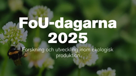 Thumbnail for FoU-dagarna 2025: Fyrtio år av forskning – vetenskapen driver ekolantbruket framåt