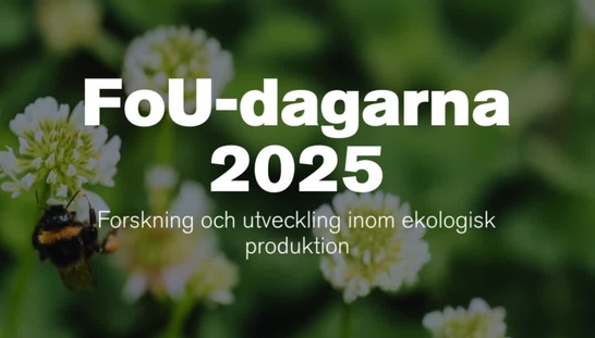FoU-dagarna 2025: Fyrtio år av forskning – vetenskapen driver ekolantbruket framåt