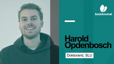 Thumbnail for Möt doktorand Harold Opdenbosch från SustAinimal Academy
