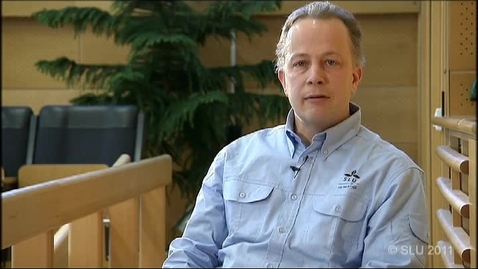 Thumbnail for  Kunskap om systemet -  Älg och trafik