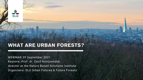 Thumbnail for Urban Forests 01 - What are urban forests?
