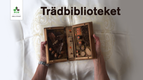 Thumbnail for Trädbiblioteket, SLU-biblioteket