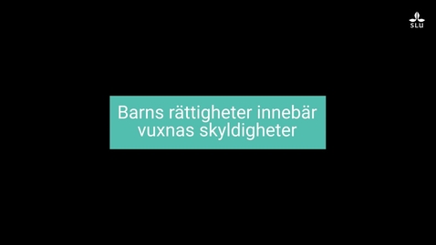 Thumbnail for Barnkonventionen har blivit lag i Sverige