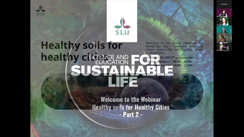 Thumbnail for Healthy soils for healthy cities 2