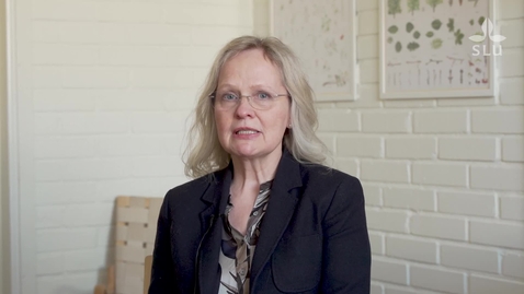 Thumbnail for Nya professorer, föreläsning -  Hannele Tuominen