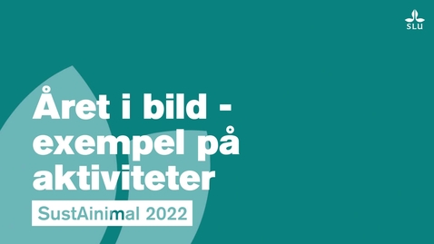 Thumbnail for Årsberättelse i bilder SustAinimal 2022