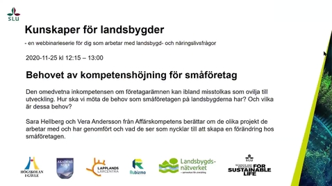 Thumbnail for Behovet av kompetenshöjning för småföretag