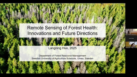 Thumbnail for Langning Huo: Remote Sensing for Forest Health Monitoring: Innovations and Future Directions