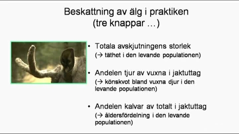 Thumbnail for Åtgärder Jaktstrategi och kvalitet