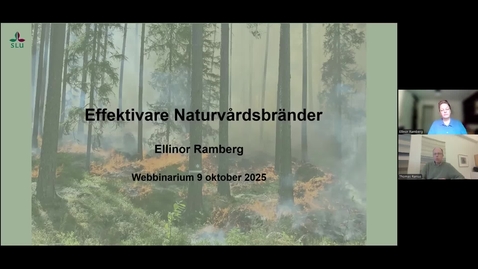 Thumbnail for Effektivare naturvårdsbränder