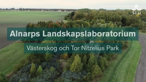 Thumbnail for Alnarps landskapslaboratorium Västerskog och Volbrechts park