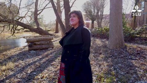 Thumbnail for Nya professorer, föreläsning - Anke Herrmann