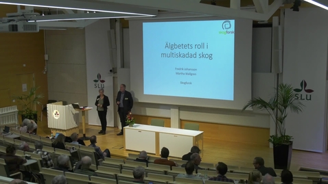 Thumbnail for Forskning för framtidens skogsbruk eftermiddag