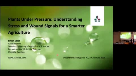 Thumbnail for Docent lecture NJ VT2025-Simon Stael