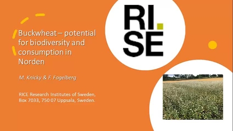 Thumbnail for Poster FoU 2024: Buckwheat – potential for biodiversity and consumption in Norden – M. Knicky &amp; F. Fogelberg