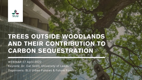 Thumbnail for Urban forests 05 - Trees outside woodlands and their contribution to carbon sequestration