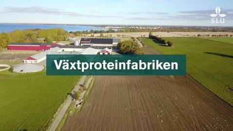 Thumbnail for Växtproteinfabriken