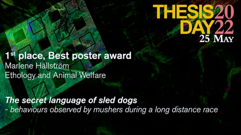 Thumbnail for Thesis Day2022 - Poster award winner Marlene Hällström