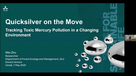 Thumbnail for Wei Zhu: Quicksilver on the Move: Tracking Toxic Mercury Pollution in a Changing Environment