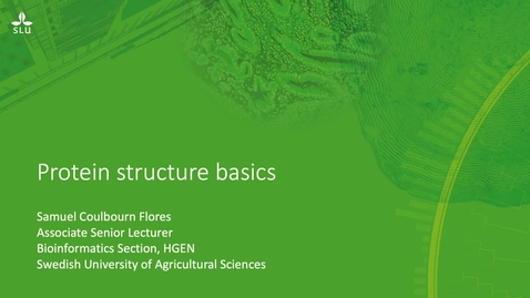 Thumbnail for Protein structure basics