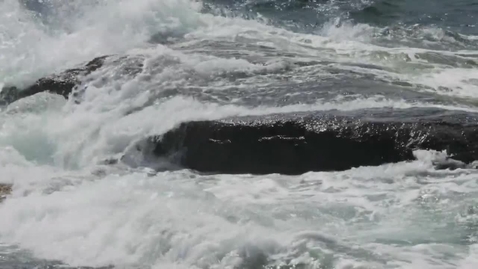 Thumbnail for Fatta forskning med Jonas Hentati Sundberg - Sillgrisslor