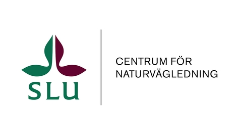Thumbnail for Volontärer för besöksverksamhet i skyddad natur och på naturum - Webbinarium 31 maj 2024