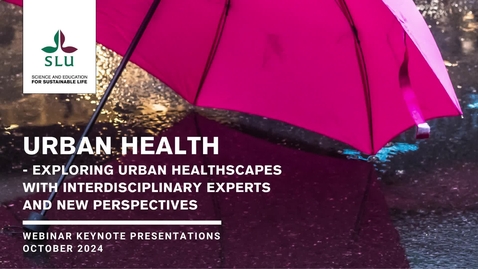 Thumbnail for Urban Health #2 – Exploring Urban Healthscapes with interdisciplinary experts and new perspectives