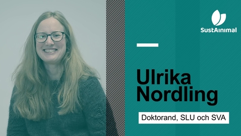 Thumbnail for Möt Ulrika Nordling från SustAinimal Academy