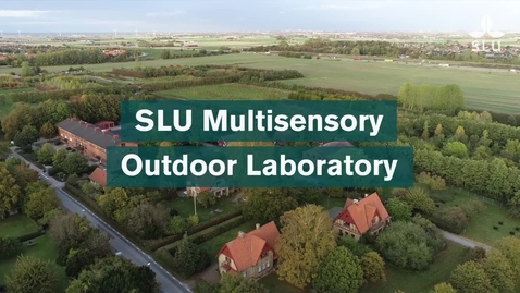 Thumbnail for SLU Multisensory Outdoor Laboratory