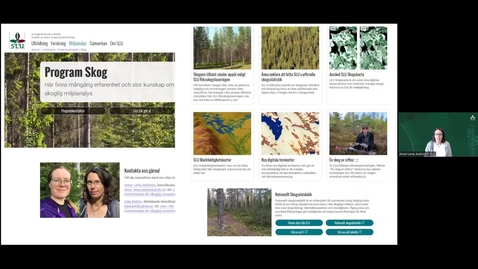 Thumbnail for Skogsdata 2025 - tema tillväxt, avverkning och naturlig avgång