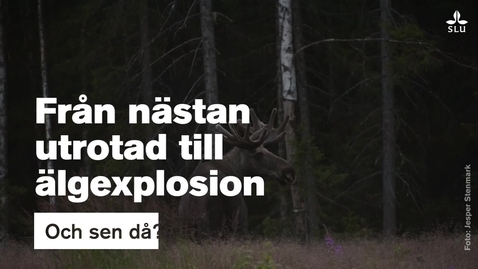 Thumbnail for Från nästan utrotad till älgexplosion - och sen då?