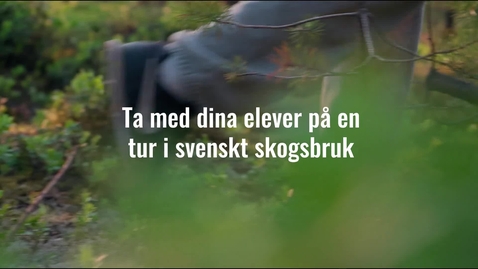 Thumbnail for [Teaser] Varifrån kommer pizzakartongen? - en film om svenskt skogsbruk