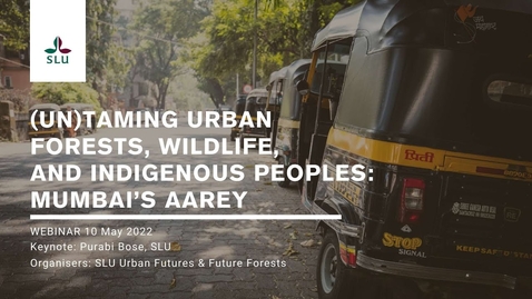 Thumbnail for Urban Forests 06 - (Un)taming urban forests, wildlife, and Indigenous peoples: Mumbai’s Aarey