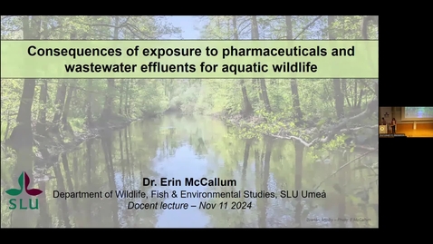 Thumbnail for Erin McCallum: Understanding the consequences of exposure to pharmaceutical pollutants and wastewater effluents for aquatic wildlife