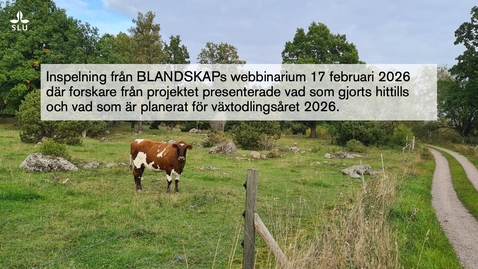 Thumbnail for BLANDSKAP webbinarium 17 februari 2026