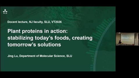 Thumbnail for Docentföreläsning NJ VT2026 Jing Lu