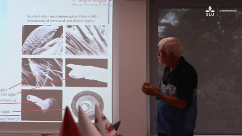 Thumbnail for Matz Berggren föreläser om kräftdjur – Nationalnyckeln till Sveriges flora och fauna