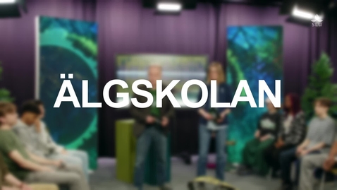 Thumbnail for Älgskolan tv - gymnasieklassen