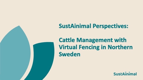 Thumbnail for SustAinimal Perspectives – Cattle Management with Virtual Fencing in Northern Sweden