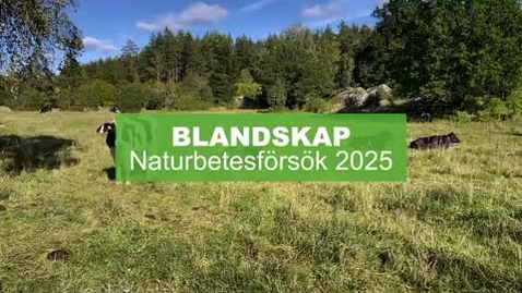 Thumbnail for BLANDSKAP – naturbetesförsök 2025