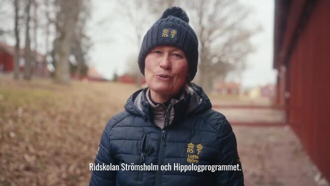 Spela video
