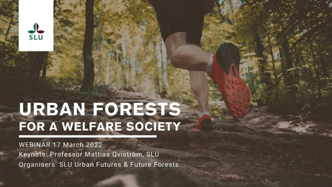 Thumbnail for Urban Forests 04 - Urban forests for a welfare society: running and the forest ideal in Swedish recreational planning