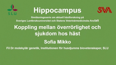 Thumbnail for Överrörlighet hos häst - koppling till sjukdom, Sofia Mikko