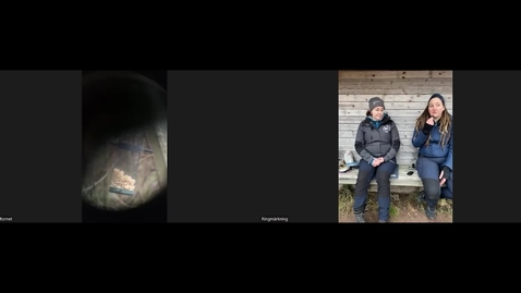 Thumbnail for Gökotta med CNV: Fågelupplevelser vid Tåkern