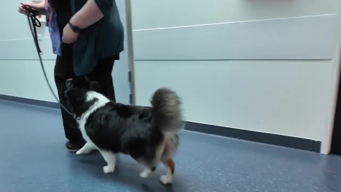 Thumbnail for Framtidens medicin - Fatta forskningen med Henrik Rönnberg