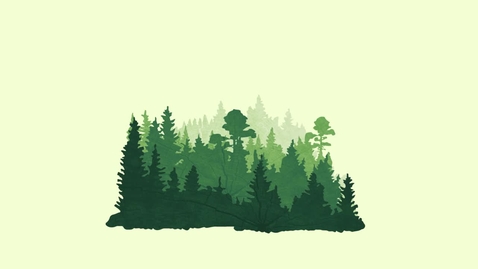 Thumbnail for Skogen - klimatets egen dammsugare